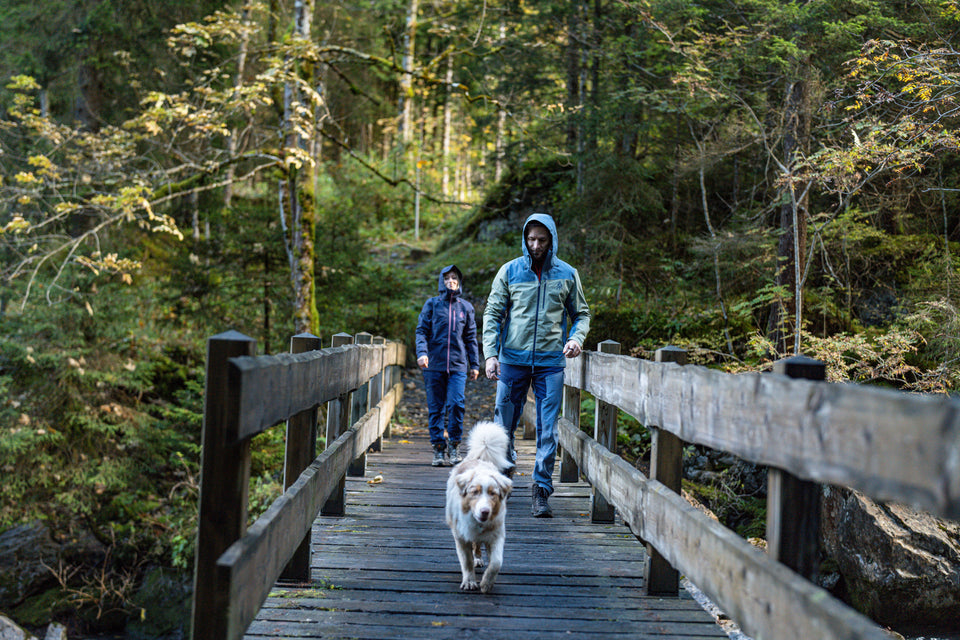 Two people walking with a dog across a wooden bridge in a forest