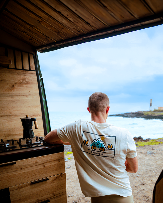 Man standing in a campervan looking out at a scenic view