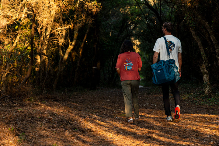 Two people walking along a forest path